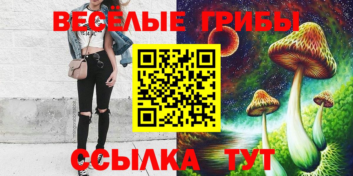 Псилоцибиновые грибы Psilocybe  Вход с VPN  Калининград 